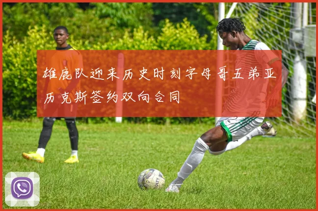 雄鹿队迎来历史时刻字母哥五弟亚历克斯签约双向合同