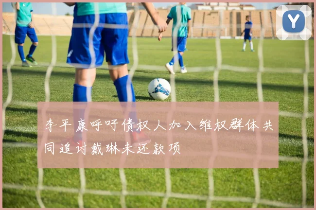 李平康呼吁债权人加入维权群体共同追讨戴琳未还款项