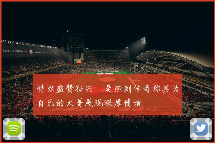 特尔盛赞孙兴慜是热刺传奇称其为自己的大哥展现深厚情谊