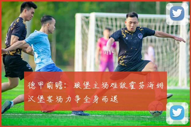 德甲前瞻：狼堡主场难敌霍芬海姆汉堡客场力争全身而退