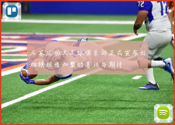 石家庄功夫足球俱乐部正式宣布刘柏杨租借加盟的喜讯与期待