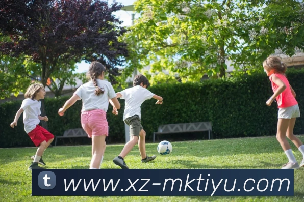 MK体育服务体系